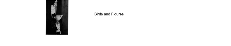 Birds and Figures